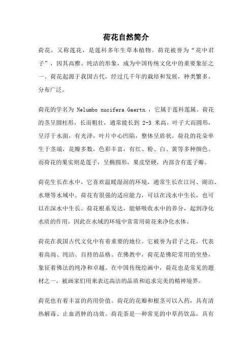 荷花自然简介