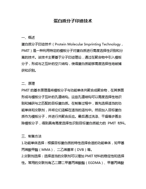 蛋白质分子印迹技术