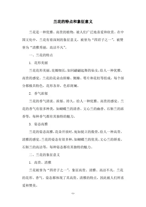 兰花的特点和象征意义