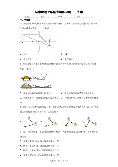 初中物理七年级专项练习题——光学(附答案)