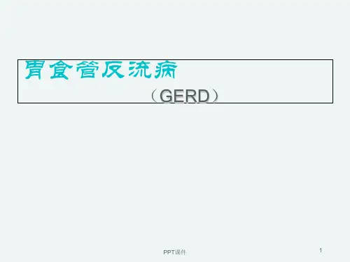 胃食管反流病   ppt课件