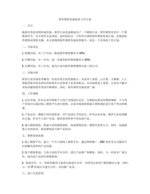 软件销售发展前景工作计划