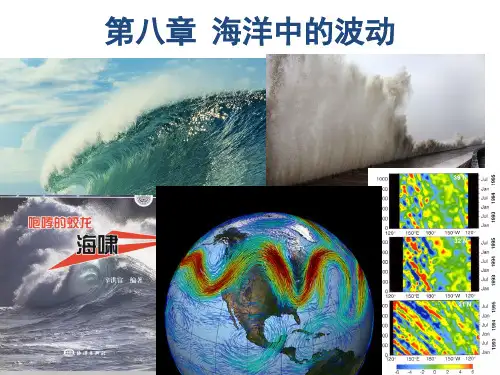 海洋学_第八章 海洋中的波动