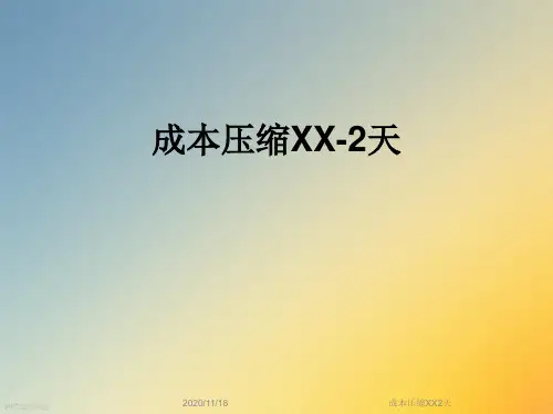 成本压缩XX2天