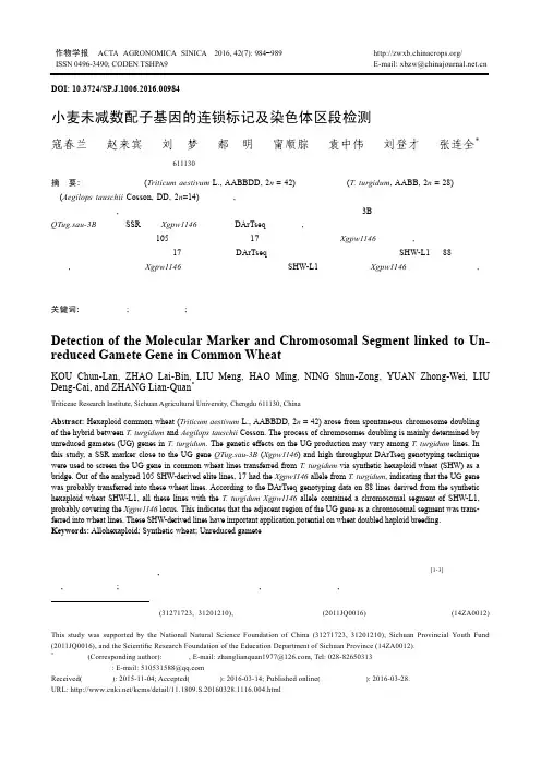 小麦未减数配子基因的连锁标记及染色体区段检测