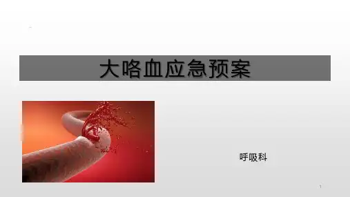 大咯血应急预案PPT课件