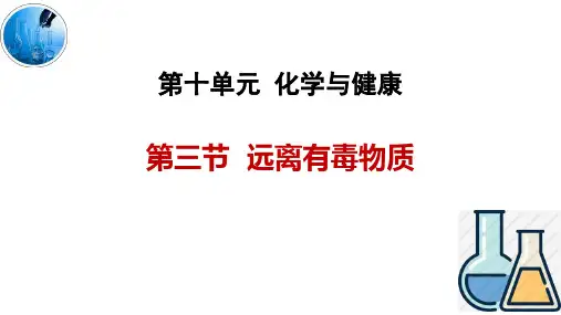 鲁教版九年级化学下册《远离有毒物质》化学与健康PPT精品课件