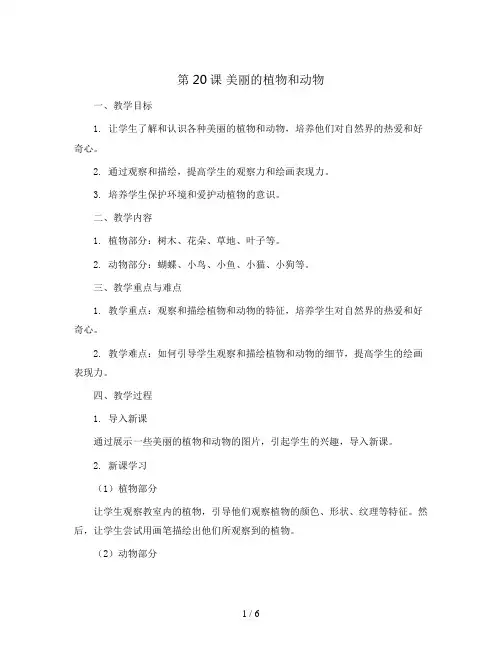 第20课  美丽的植物和动物(教案)2023-2024学年美术一年级上册