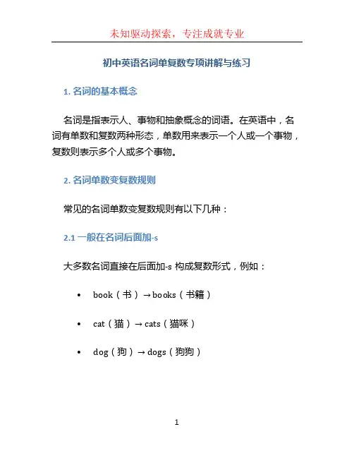 初中英语名词单复数专项讲解与练习