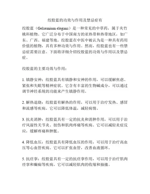 绞股蓝的功效与作用及禁忌症有