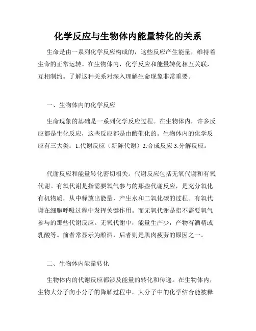 化学反应与生物体内能量转化的关系