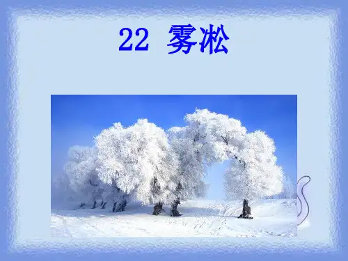 《雾凇》教学课件