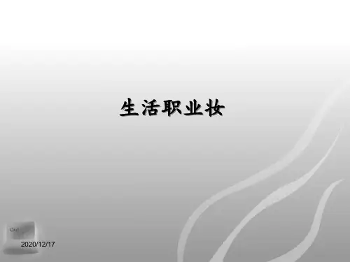 职业妆技巧 ppt课件