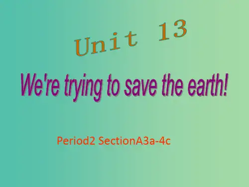 九年级英语全册 Unit 13 We’re trying to save the earth Per