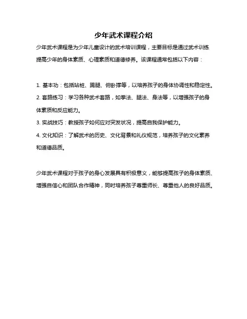 少年武术课程介绍
