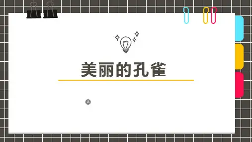 少儿美术创意PPT课件《美丽的孔雀》