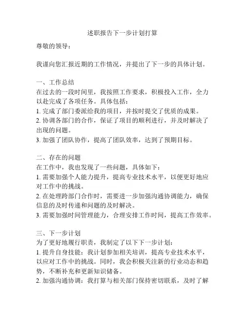 述职报告下一步计划打算