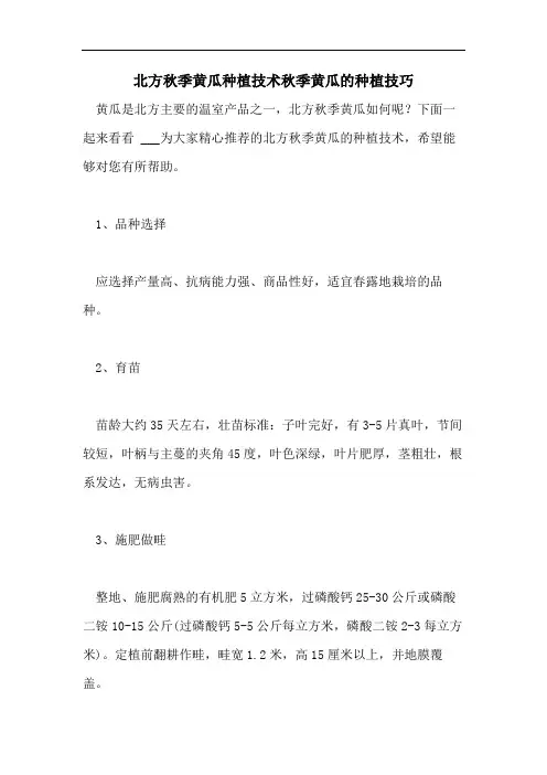 北方秋季黄瓜种植技术秋季黄瓜的种植技巧
