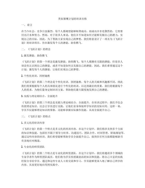 类似雏鹰计划的培训名称