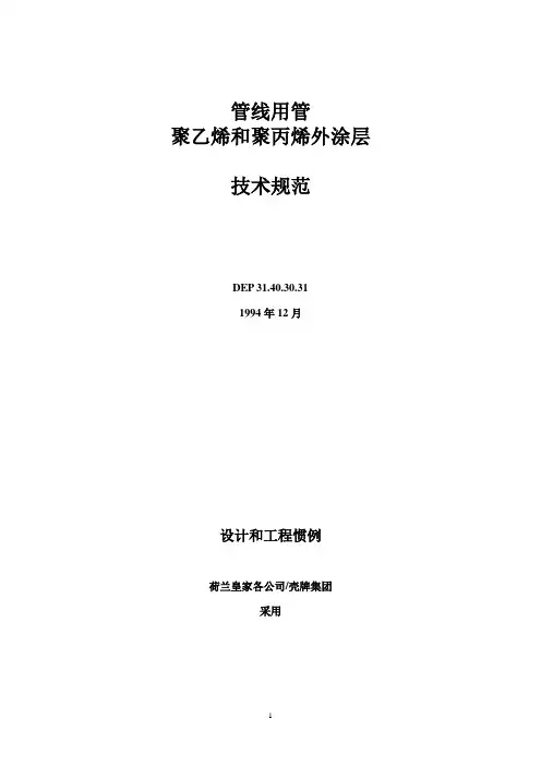 3PP外涂层规范_荷兰DEP_汉语
