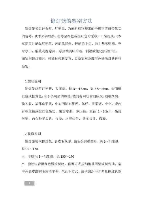 中药知识-锦灯笼的鉴别方法
