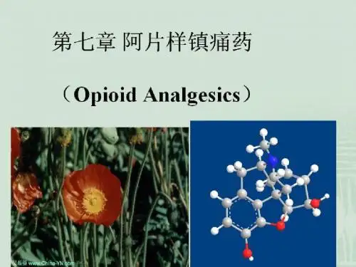 阿片类镇痛药