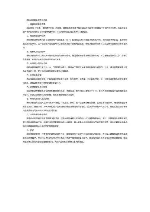 核磁共振测井原理与应用书pdf