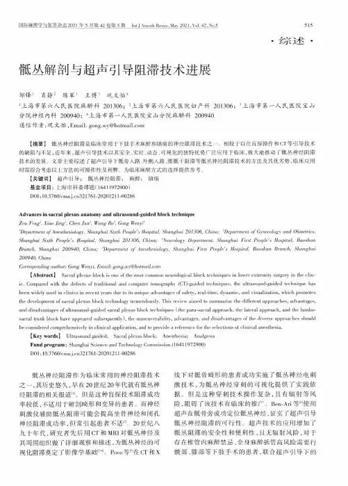 骶丛解剖与超声引导阻滞技术进展