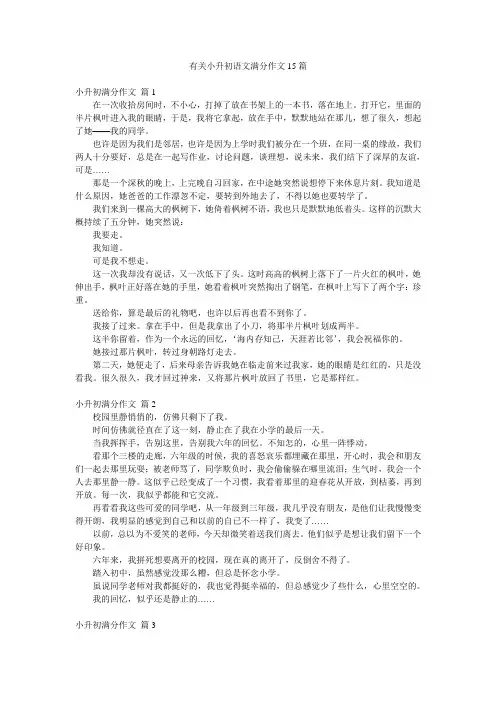 有关小升初语文满分作文15篇