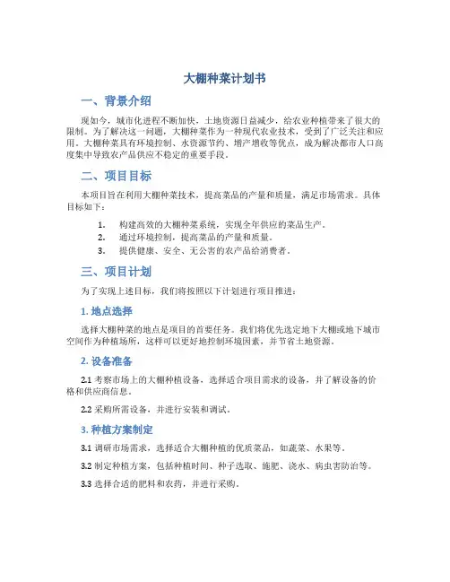 大棚种菜计划书