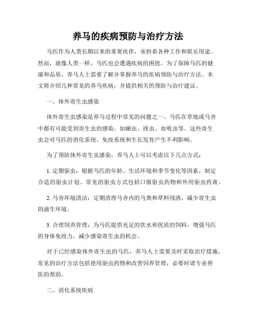 养马的疾病预防与治疗方法