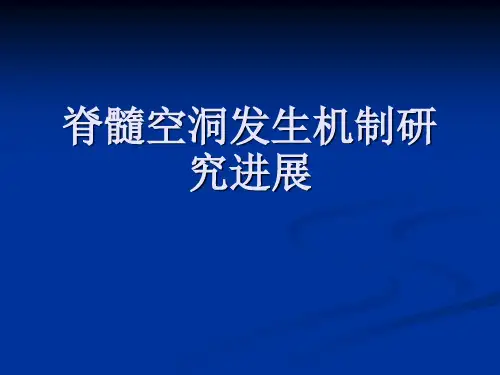 脊髓空洞发生机制研究进展ppt课件