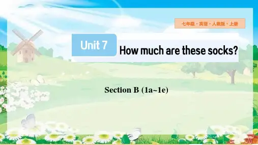 Unit 7 Section B (1a~1e) 课件(共36张PPT) 人教版七年级英语上册