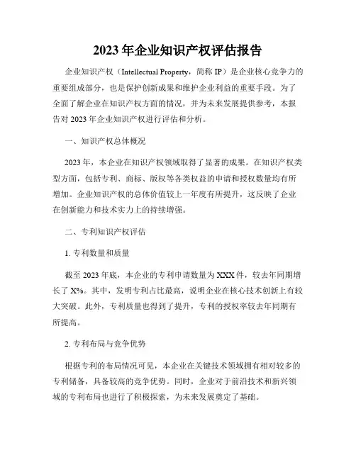 2023年企业知识产权评估报告