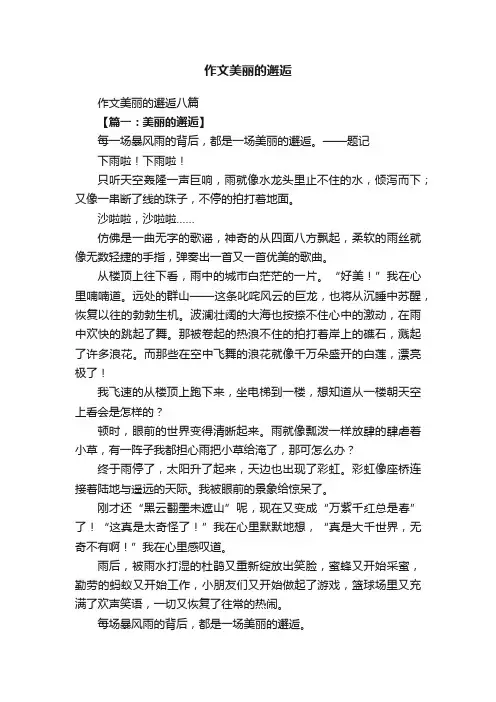 作文美丽的邂逅八篇