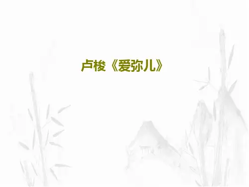 卢梭《爱弥儿》36页PPT