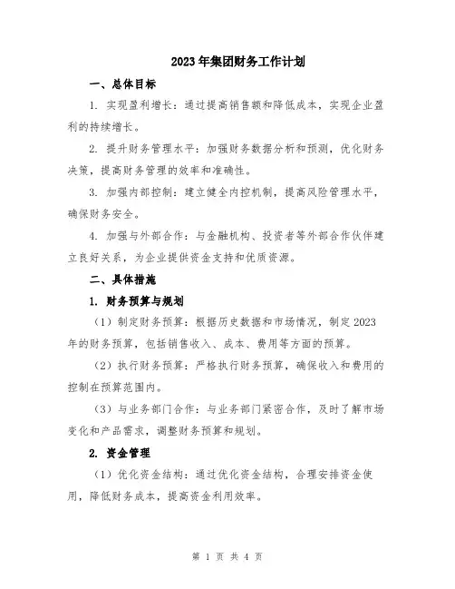 2023年集团财务工作计划