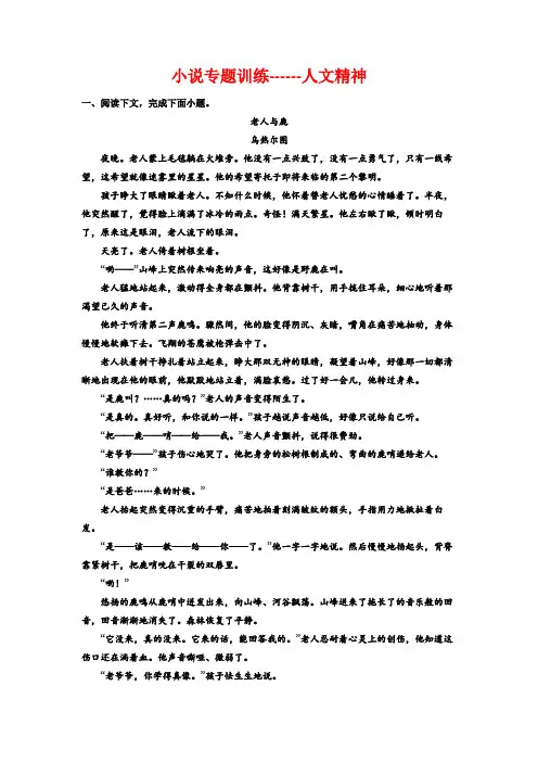 高考语文复习-小说专题训练-人文精神