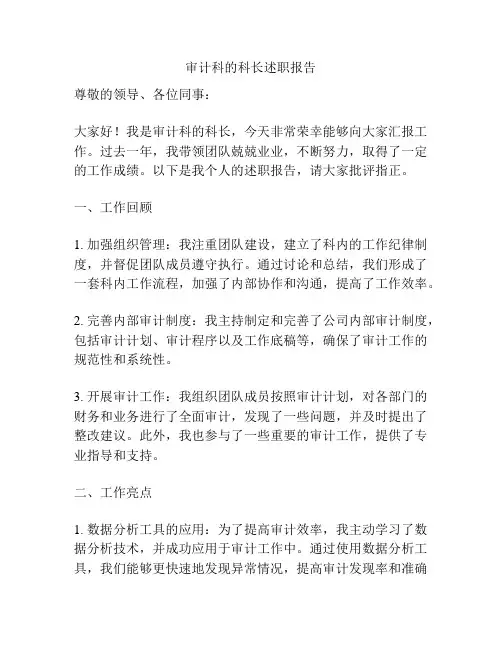 审计科的科长述职报告