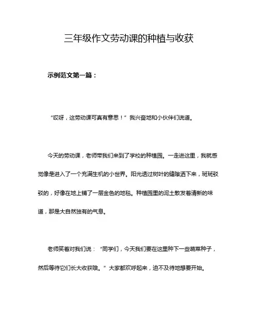 三年级作文劳动课的种植与收获