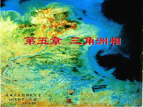 三角洲相