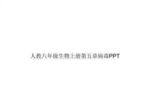 人教八年级生物上册第五章病毒PPTppt文档