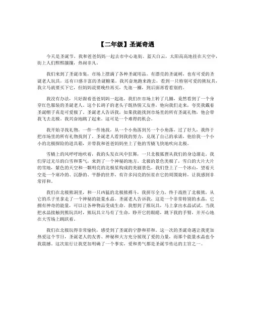 【二年级】圣诞奇遇