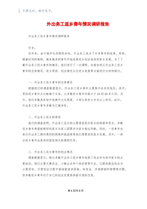 外出务工返乡青年情况调研报告