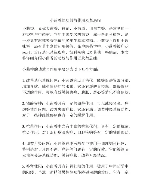 小茴香的功效与作用及禁忌症