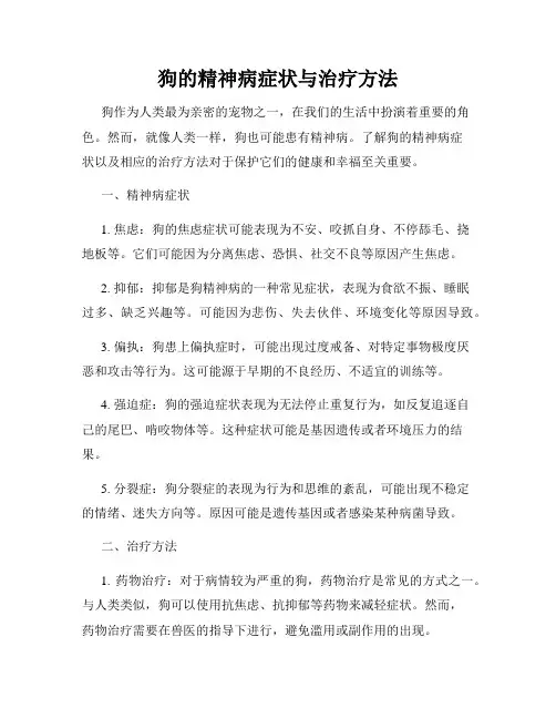 狗的精神病症状与治疗方法