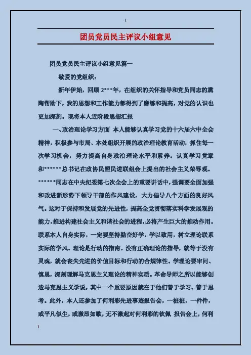 团员党员民主评议小组意见