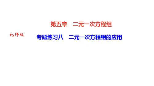 北师版八年级数学上册作业课件(BS) 第五章 二元一次方程组 专题练习八 二元一次方程组的应用