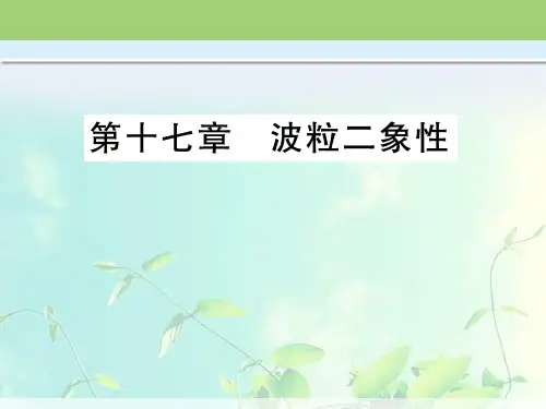 高中物理-粒子的波动性