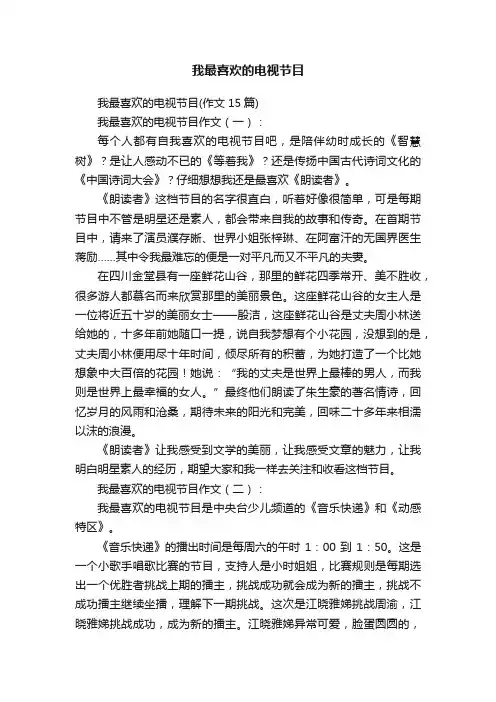 我最喜欢的电视节目
